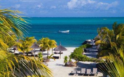 bbde980f-ctry-156-162878371c6